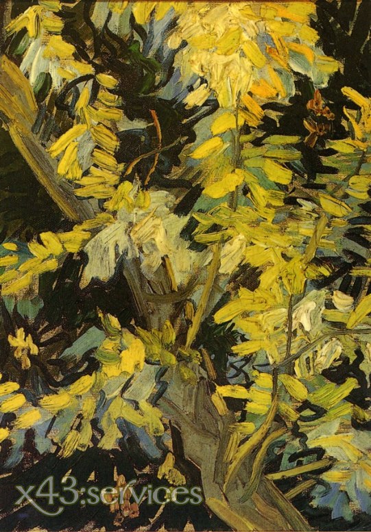 Vincent van Gogh - Blühende Akazienzweige